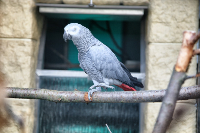 Papouščí zoologická zahrada 4